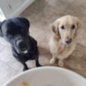 Meet your Posher, Carl